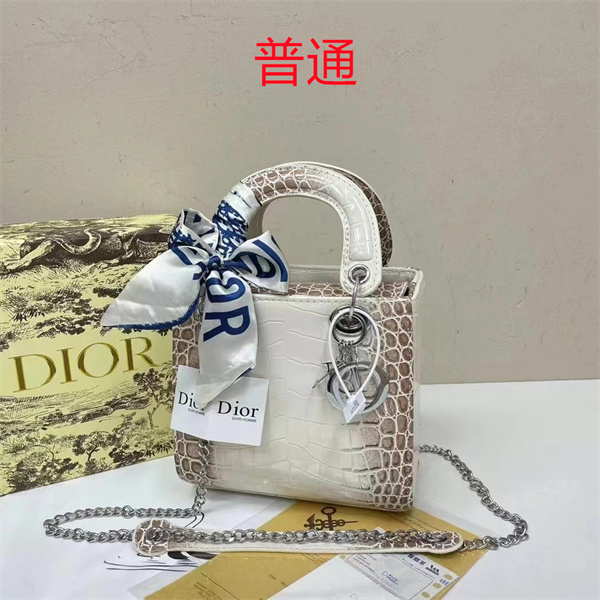 Dior small bag-0298