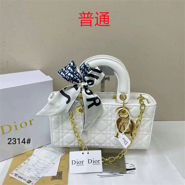 Dior small bag-0304