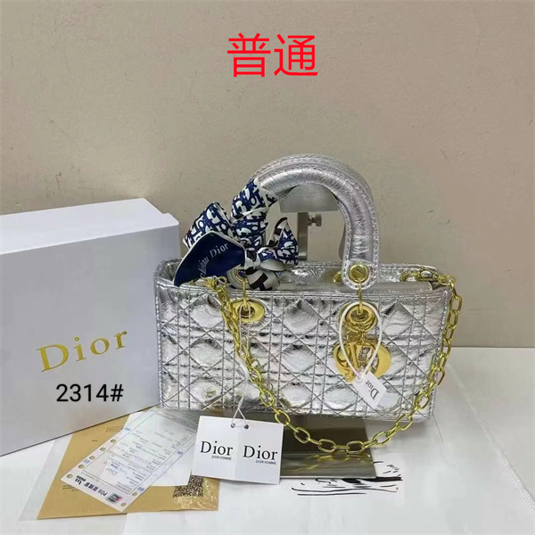 Dior small bag-0305