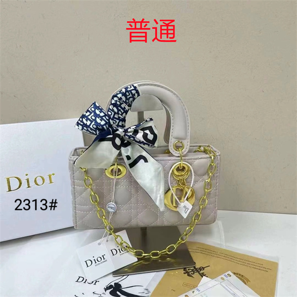 Dior small bag-0309