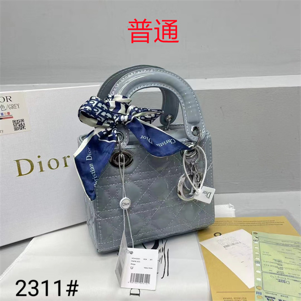 Dior small bag-0323