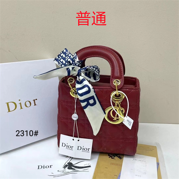 Dior small bag-0331