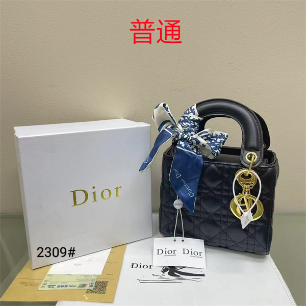 Dior small bag-0337
