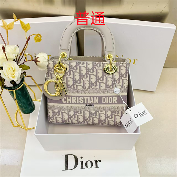 Dior small bag-0347