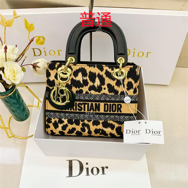 Dior small bag-0349
