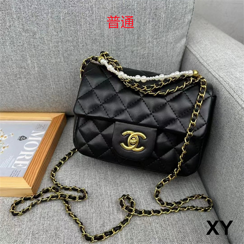 Chanel small bag-0117