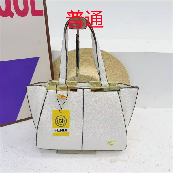 Fendi bag-0169