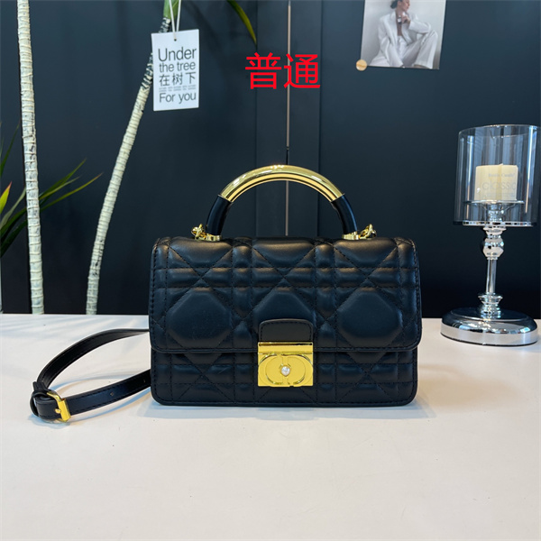Dior small bag-0412