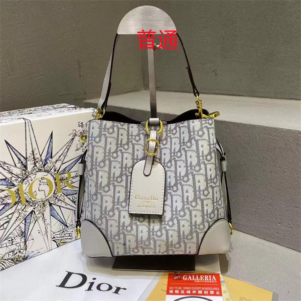 Dior small bag-0419