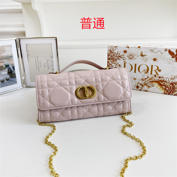 Dior small bag-0451