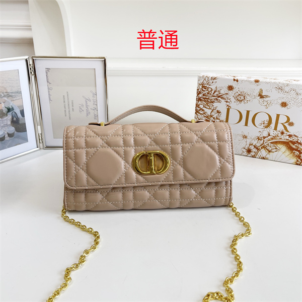 Dior small bag-0455