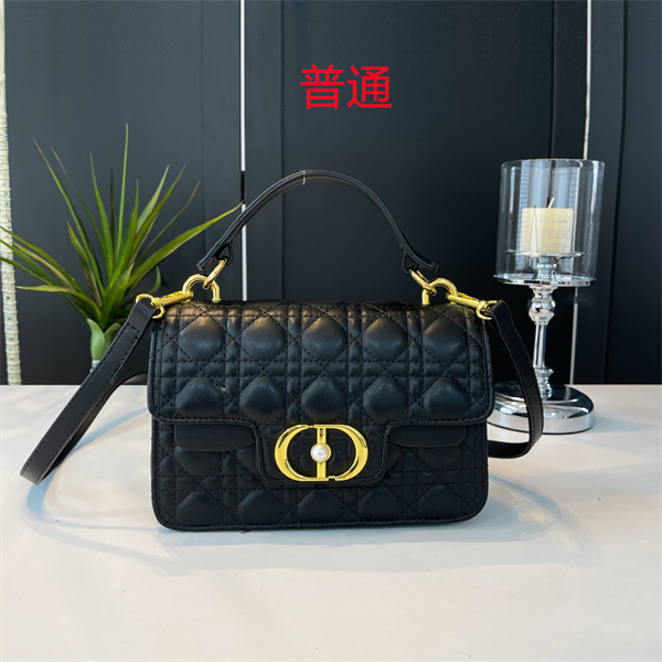 Dior small bag-0456