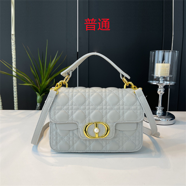 Dior small bag-0457