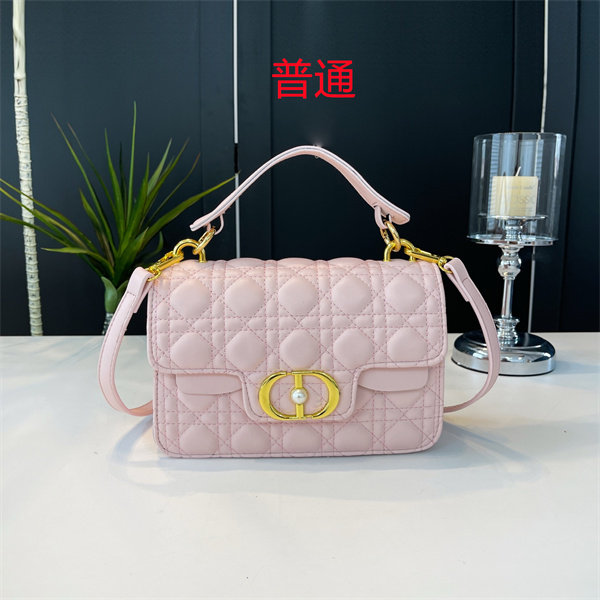 Dior small bag-0460