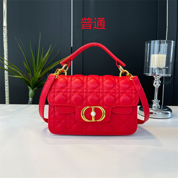 Dior small bag-0461