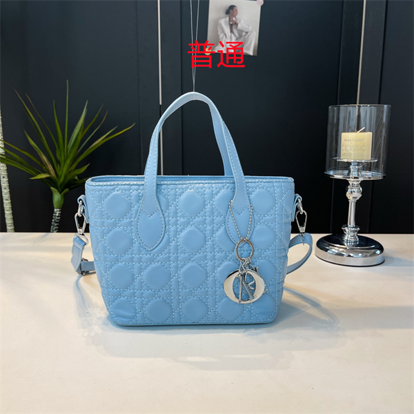 Dior small bag-0465