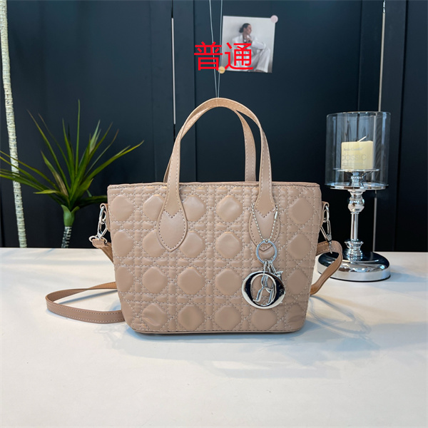 Dior small bag-0467