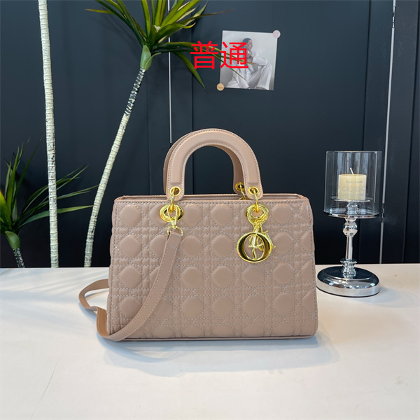 Dior small bag-0471