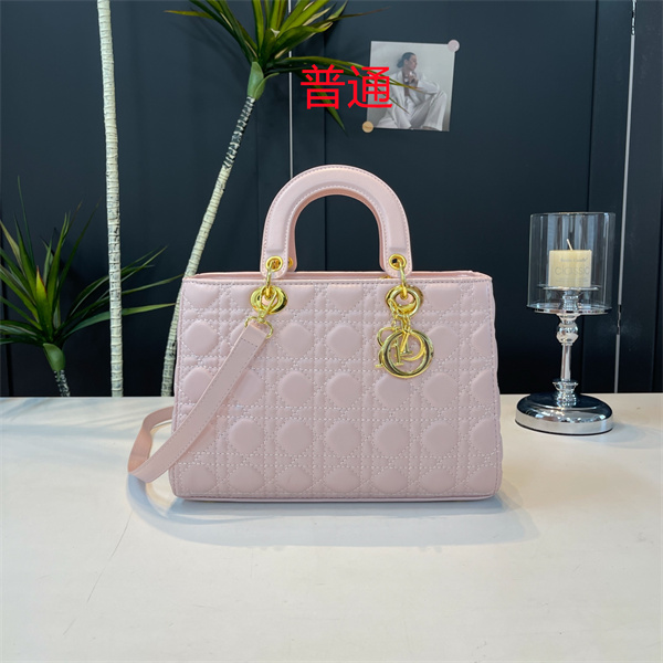Dior small bag-0475