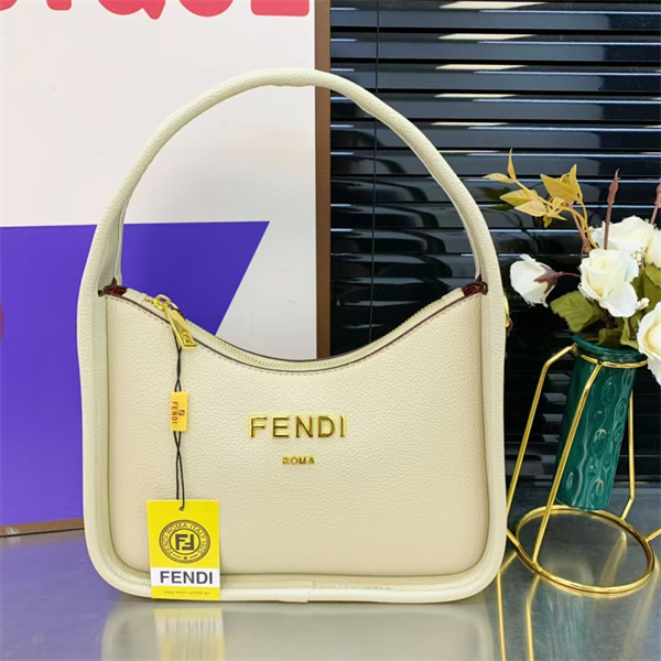 Fendi small bag-0066