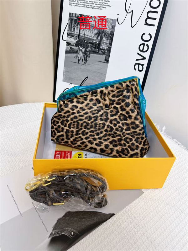 Fendi small bag-0109