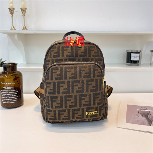 Fendi small bag-0180