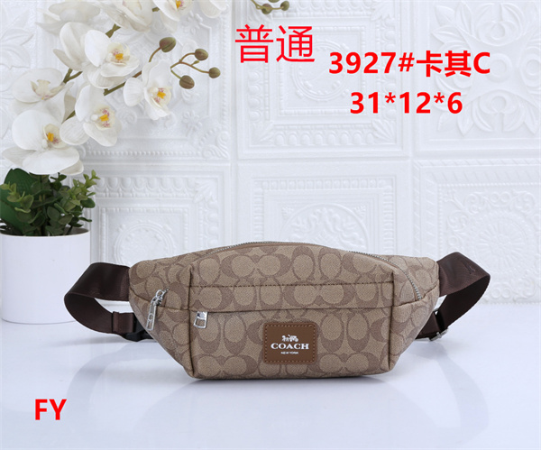 Coach small bag-0118