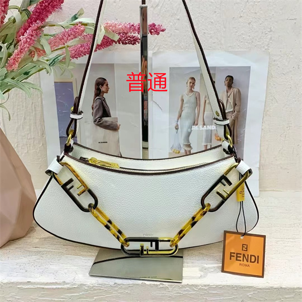 Fendi small bag-0245