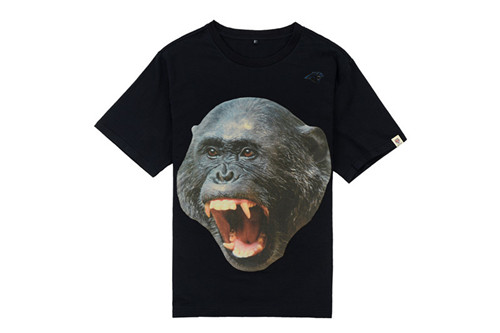 NFL T-shirt-M(10)-107