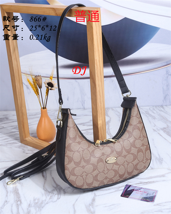 Coach small bag-0134