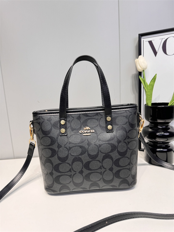 Coach small bag-0147