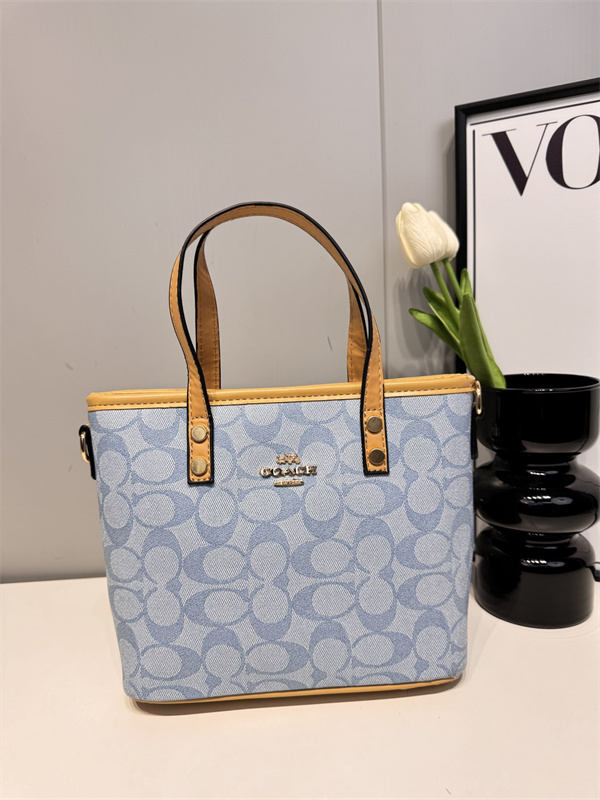 Coach small bag-0152