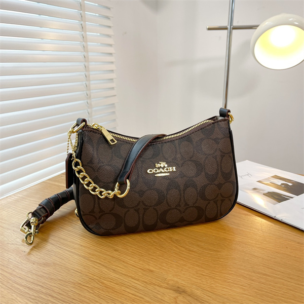 Coach small bag-0157