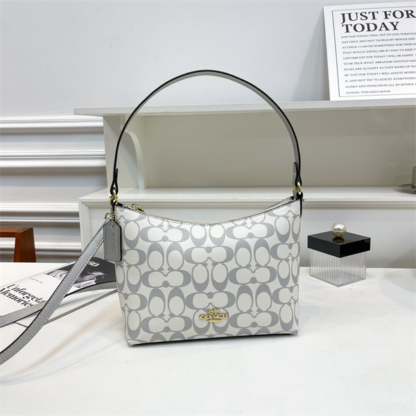 Coach small bag-0164