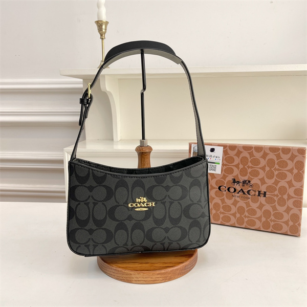 Coach small bag-0166