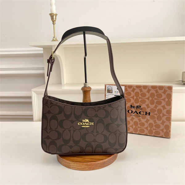 Coach small bag-0169
