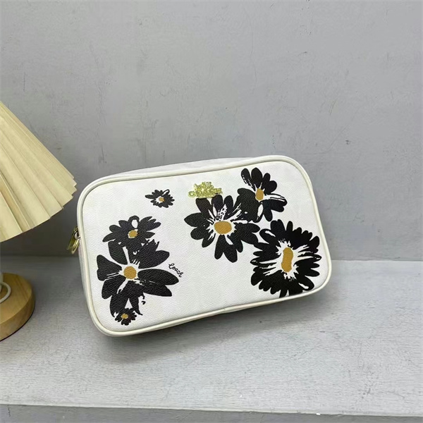 Coach small bag-0176