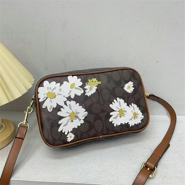 Coach small bag-0177