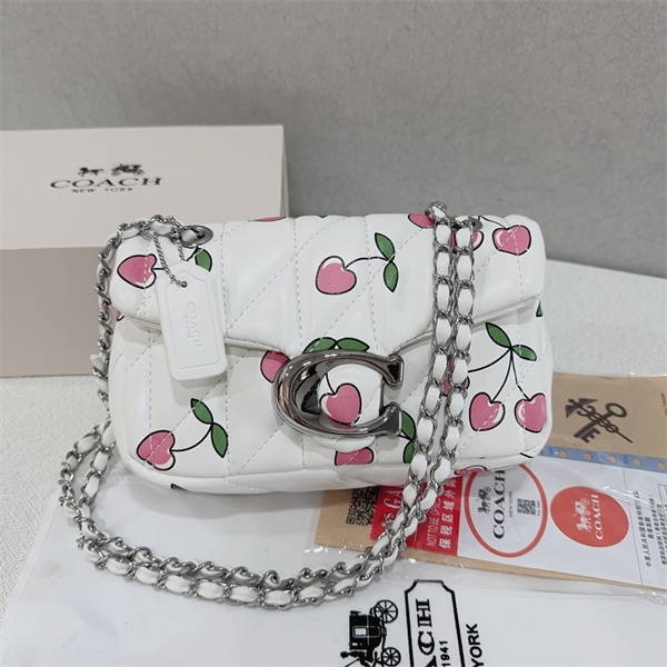 Coach small bag-0183