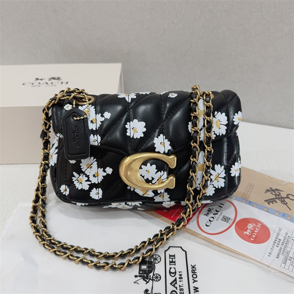 Coach small bag-0184