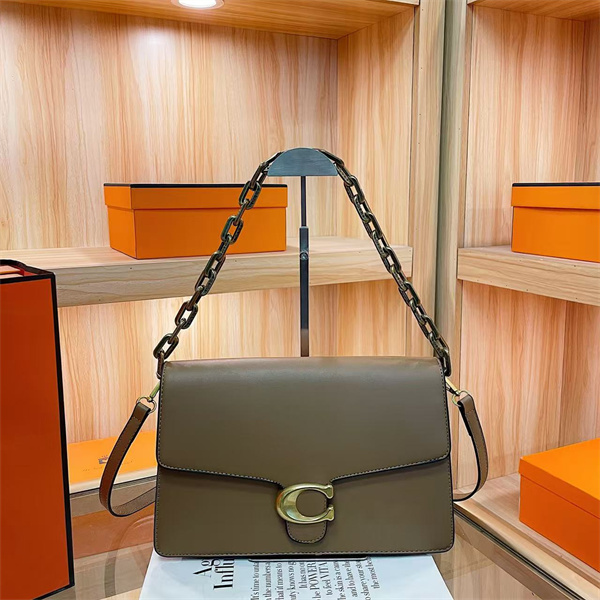 Coach small bag-0192