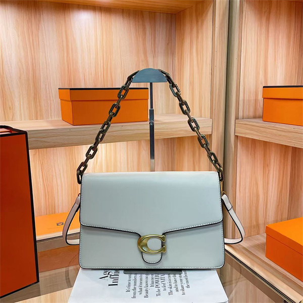 Coach small bag-0194