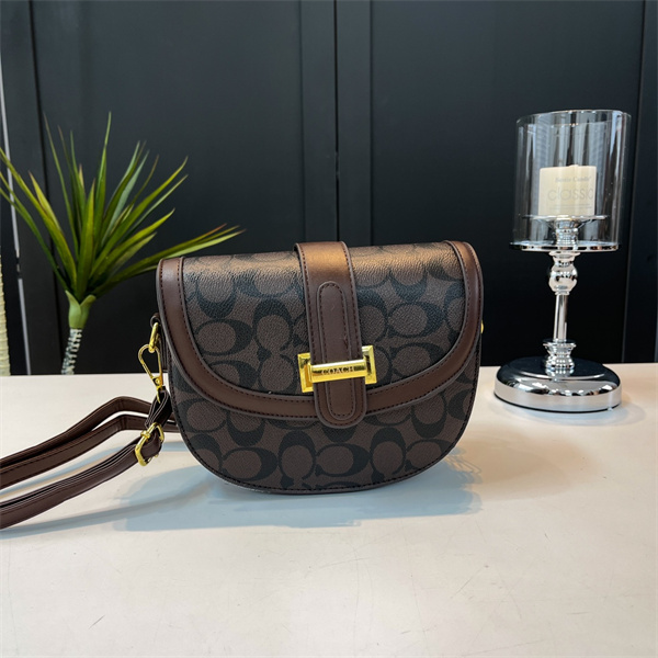 Coach small bag-0217