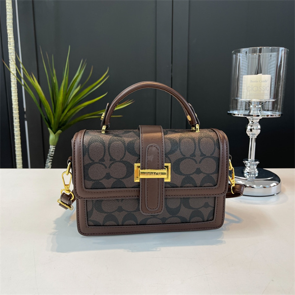 Coach small bag-0223