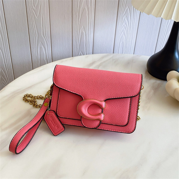 Coach small bag-0231