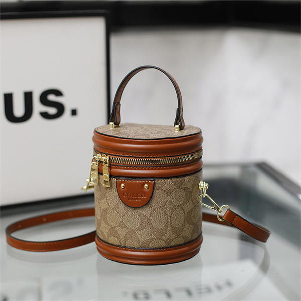 Coach small bag-0236