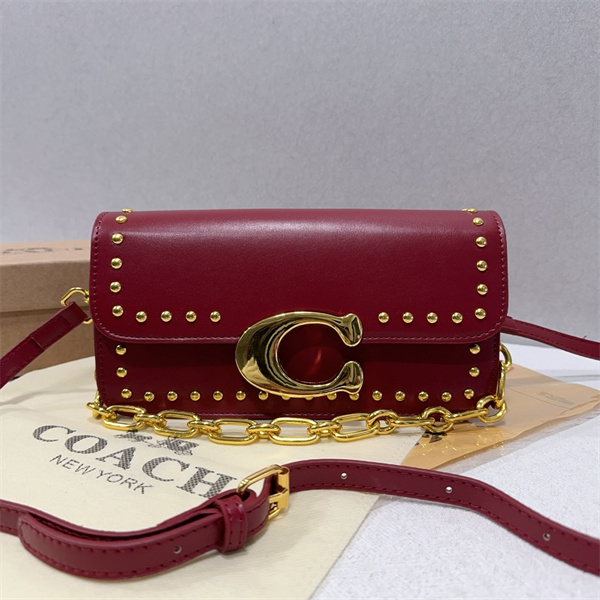 Coach small bag-0239