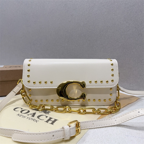 Coach small bag-0240