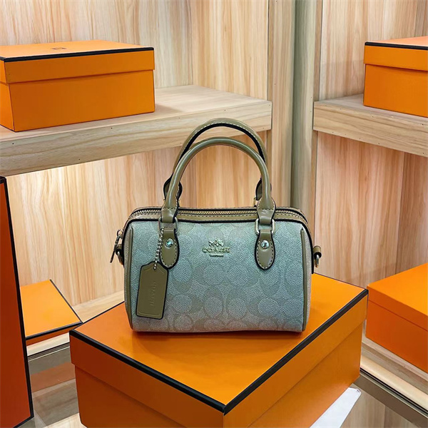 Coach small bag-0279