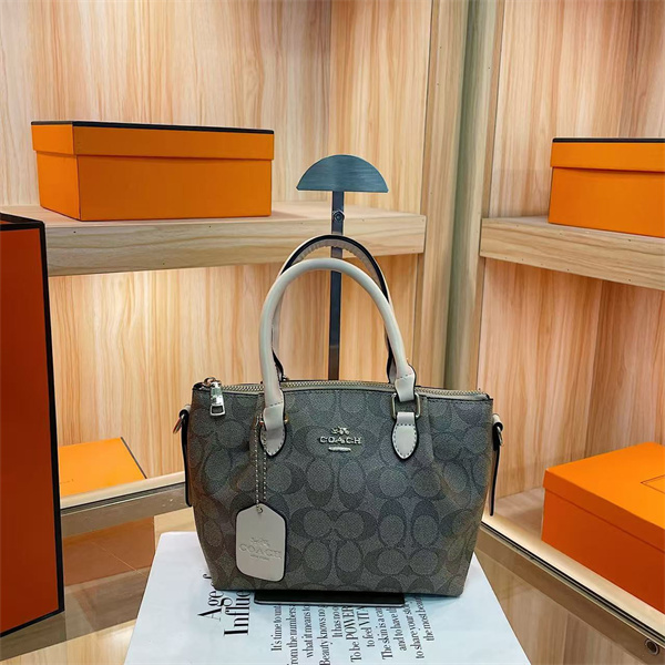 Coach small bag-0280